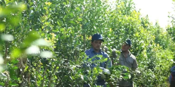 El INYM capacitó a productores de Jardín América