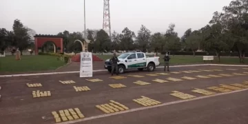 Incautan 720 kilogramos de marihuana en Jardín América