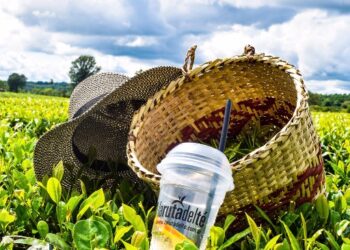 Misiones se posiciona como destino turístico para todas las temporadas