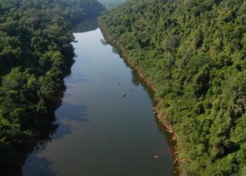 Misiones es la única provincia con porcentajes positivos de agua utilizable en suelo para cultivos