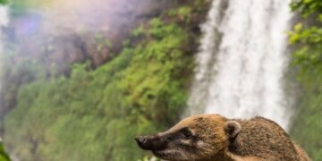 La provincia continúa apostando al desarrollo del turismo sostenible