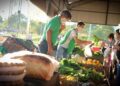 Hacia una provincia agroecológica: las ferias francas cumplen 25 años en Posadas y 28 en Oberá
