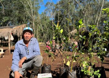 Cuidar la Tierra: Comunidad Guaraní comenzó a utilizar biofertilizantes