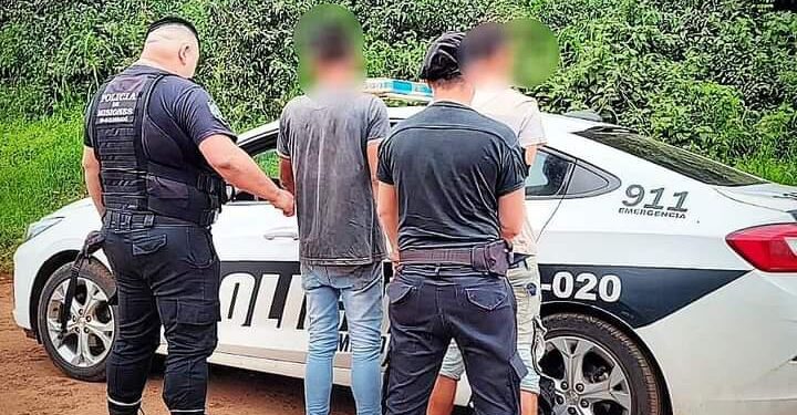 Oberá | Patrullas rurales evitaron que se robaran raídos de yerba en una chacra