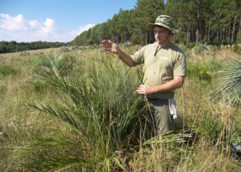 Misiones avanza en la lucha contra el cambio climático: se creó un Programa para reducir los gases de efecto invernadero