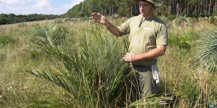 Misiones avanza en la lucha contra el cambio climático: se creó un Programa para reducir los gases de efecto invernadero