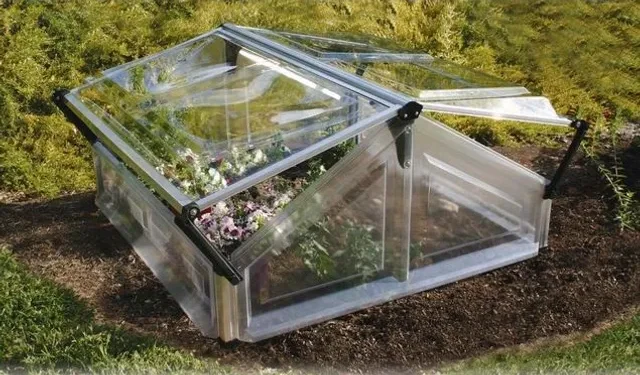 Estudiantes de 25 de Mayo diseñaron un invernáculo inteligente y lo presentarán en Tecnópolis