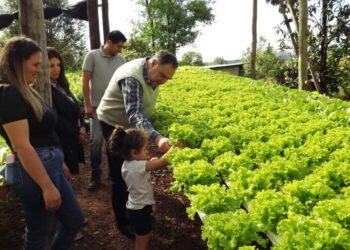 CUIDAR NUESTRA TIERRA