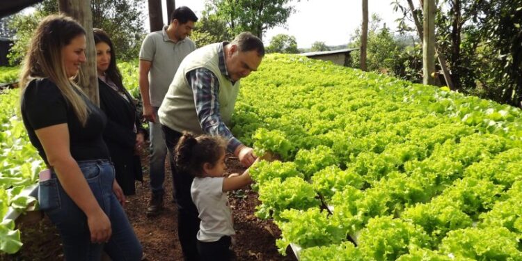 CUIDAR NUESTRA TIERRA