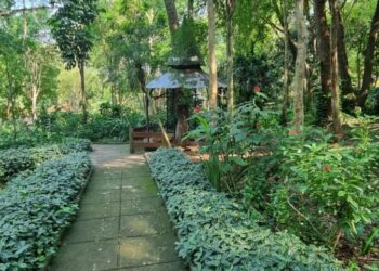 Oberá | El Jardín de los Pájaros se convertirá en un Centro de Interpretación y Educación Ambiental