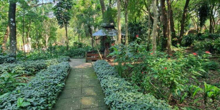 Oberá | El Jardín de los Pájaros se convertirá en un Centro de Interpretación y Educación Ambiental
