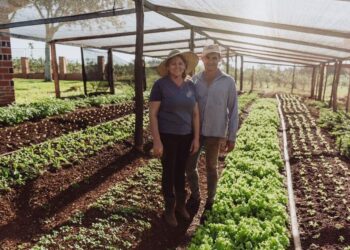 MISIONES MARCANDO EL RUMBO: NACION PROMULGÓ LA LEY QUE OTORGA BENEFICIOS FISCALES PARA LA PRODUCCIÓN ORGANICA