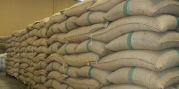 Milei derogó la ley que aseguraba el envasado de yerba en la región productora