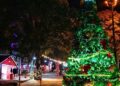 Oberá: desde mañana y hasta el domingo viví la Navidad en el Parque