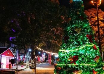 Oberá: desde mañana y hasta el domingo viví la Navidad en el Parque