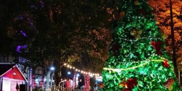 Oberá: desde mañana y hasta el domingo viví la Navidad en el Parque