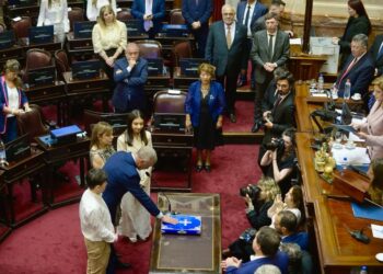 Juraron los representantes de Misiones en el Congreso de la Nación 