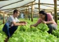 EL GEN DE LA REVOLUCIÓN AGROECOLÓGICA