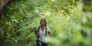 Misiones lidera las acciones para mitigar el cambio climático en el Noreste Argentino