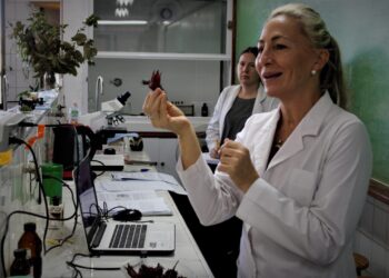 Presentan evidencias sobre los efectos del cannabis medicinal en Posadas