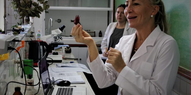 Presentan evidencias sobre los efectos del cannabis medicinal en Posadas