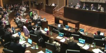 Misiones crea un Programa para el abordaje integral de enfermedades cerebrovasculares