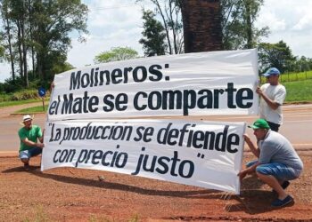 Misiones busca soluciones para la yerba mate y convoca a una Mesa Yerbatera Permanente
