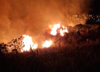 Alerta roja en Misiones: bomberos advierten por el clima crítico y piden extremar la higiene forestal