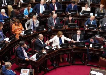 El Senado convirtió en ley el nuevo Régimen Penal Juvenil: la edad de imputabilidad baja a 14 años