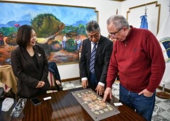 Una universidad de China pone la mirada en Misiones para evaluar nuevos intercambios académicos