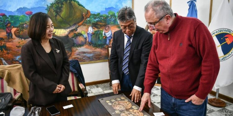 Una universidad de China pone la mirada en Misiones para evaluar nuevos intercambios académicos